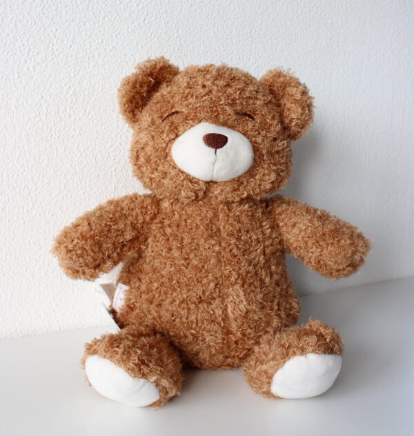 IMG_3191 Petú Petú Raad Teddy Bruin